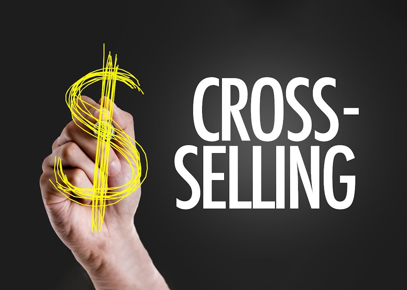 Get More Coverage for Your Money: Cross-Selling Insurance Benefits