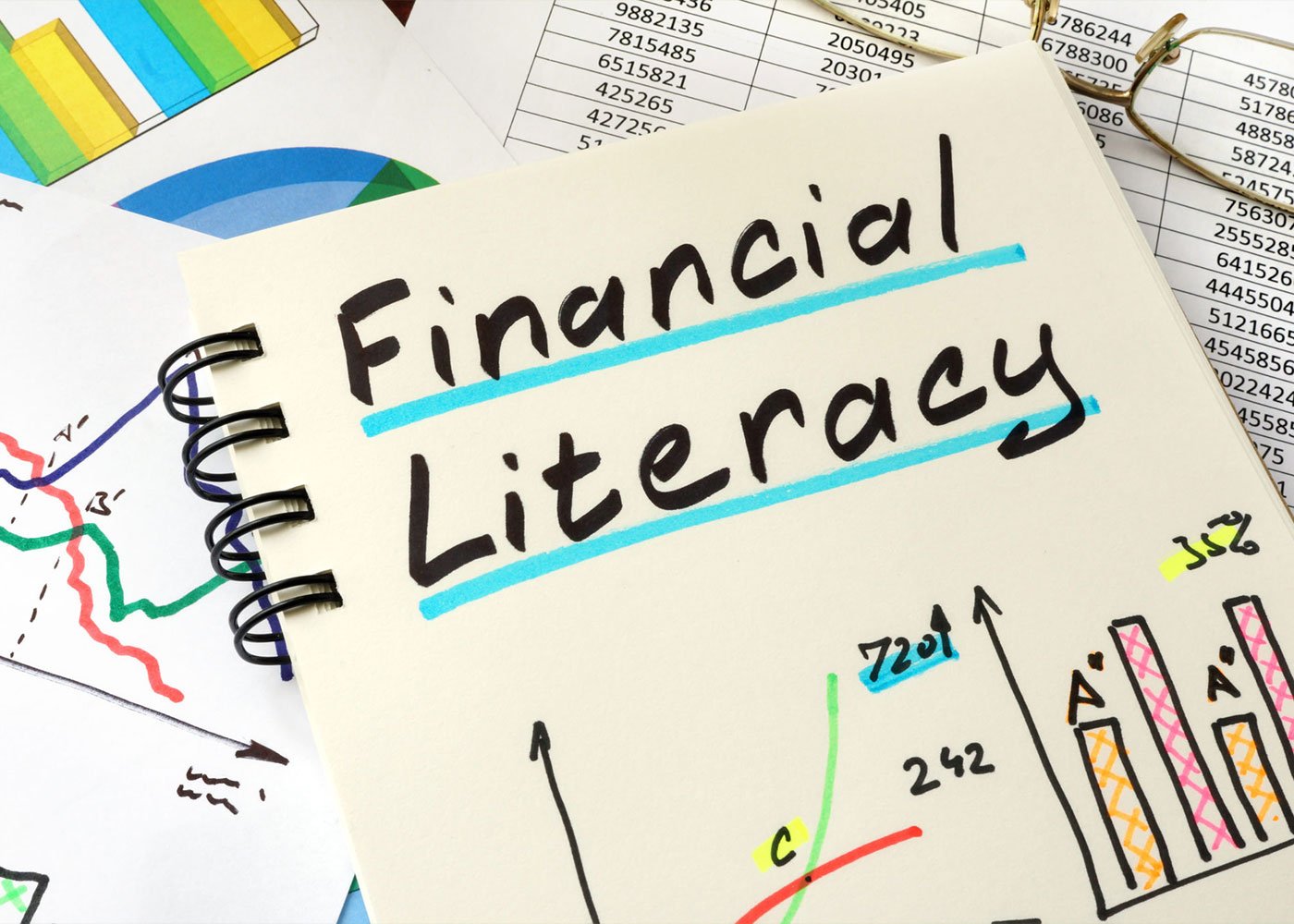 Cost of Ignorance: Why Financial Literacy Should Be Taught in Schools